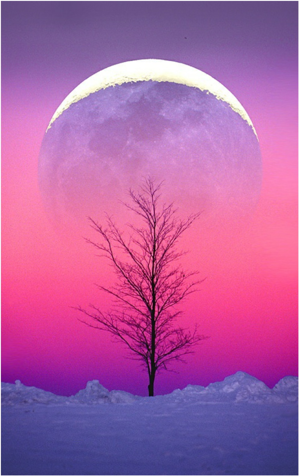 Things I Love About: The full Moon at Winter Solstice